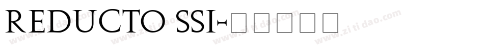 Reducto SSi字体转换